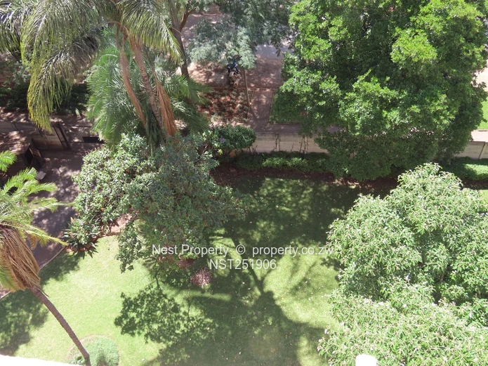 3 Bedroom Penthouse Suite - Avenues (Sole Mandate)