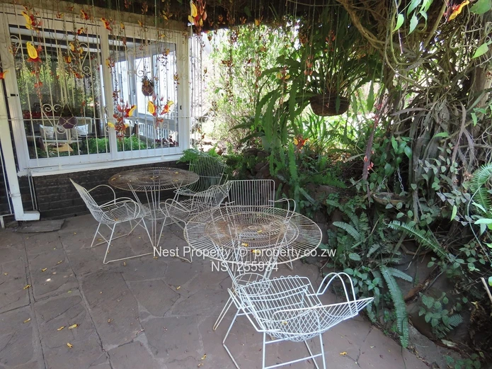 Neat Corner Garden Flat in Greendale North!