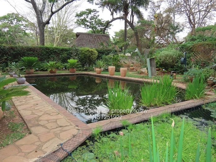 Charming Home + 2 Bed Cottage in Glen Lorne!