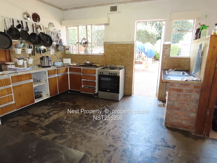 Position and Potential in Alexandra Park!