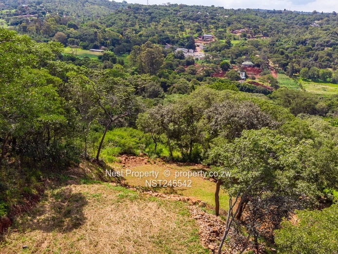 Stunning Piece of Land for Sale in Glen Lorne (Sole Mandate)