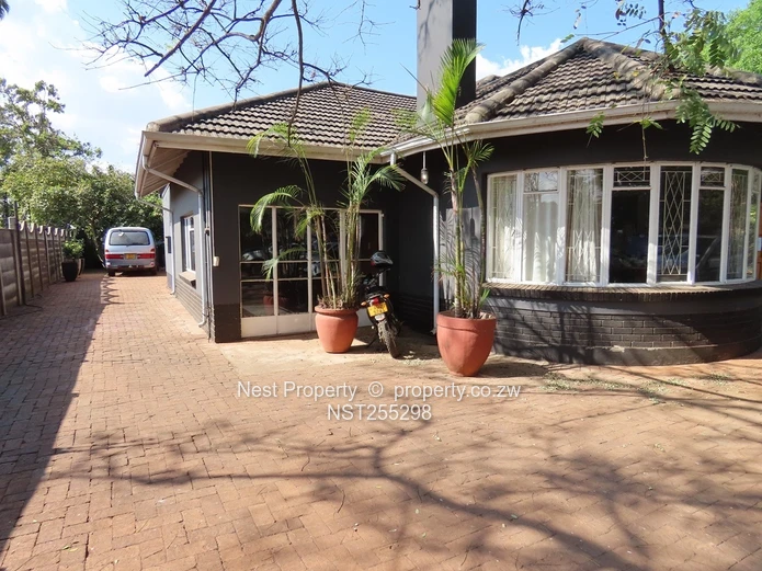 Position and Potential in Alexandra Park!