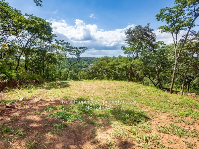 Stunning Piece of Land for Sale in Glen Lorne (Sole Mandate)
