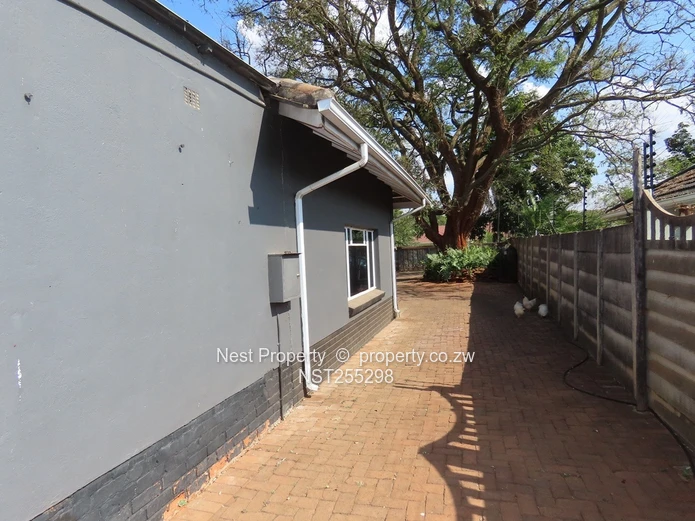 Position and Potential in Alexandra Park!