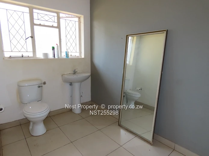 Position and Potential in Alexandra Park!