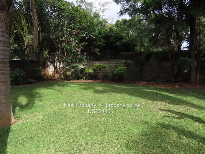 Prime Road Frontage Opportunity in Alexandra Park