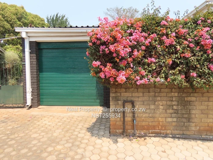 Neat Corner Garden Flat in Greendale North!